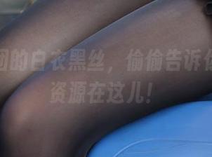 森萝财团的白衣黑丝，偷偷告诉你，免费资源在这儿！
